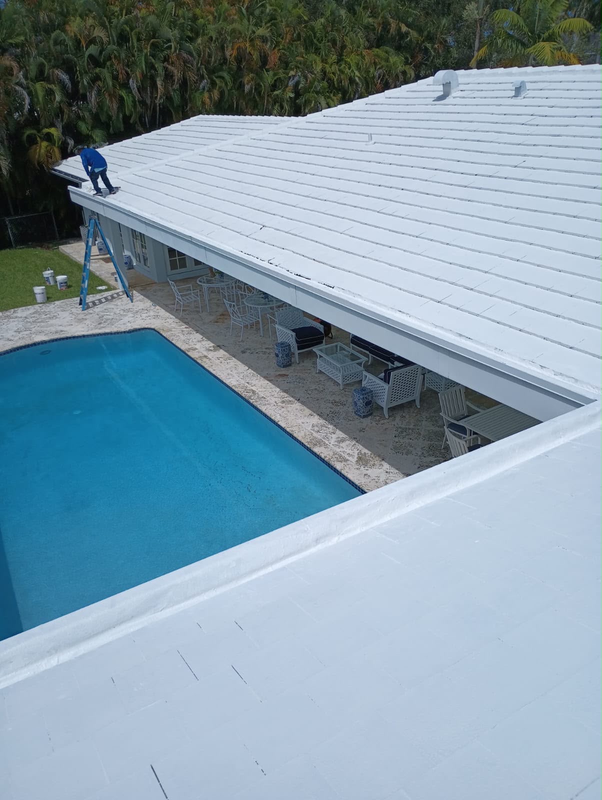 Roof Repaint and Seal